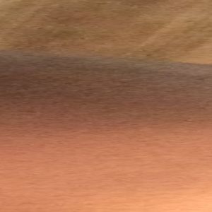 Meet your Posher, Joyce